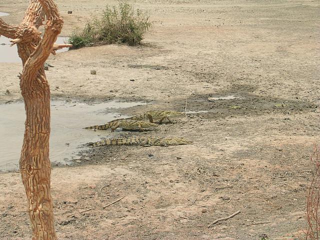 burkina faso 092