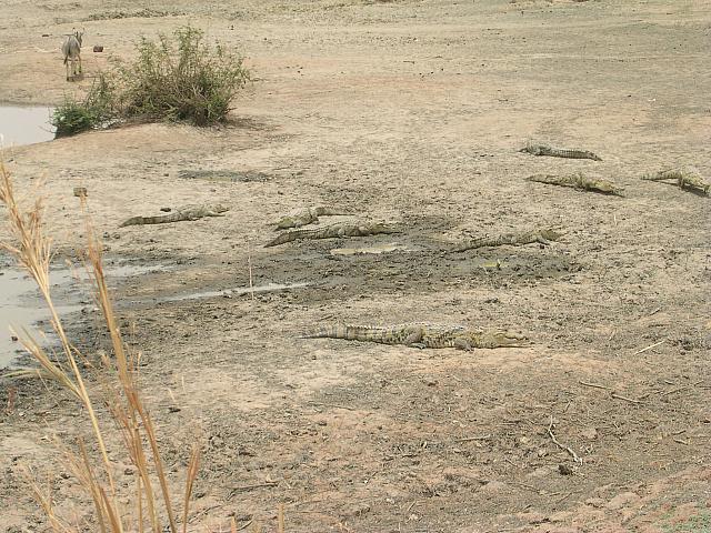 burkina faso 093